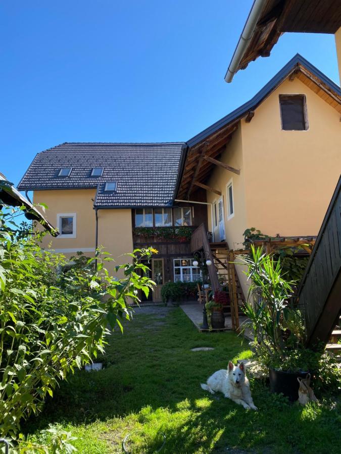 Villa Theresienhof Розегг Екстер'єр фото
